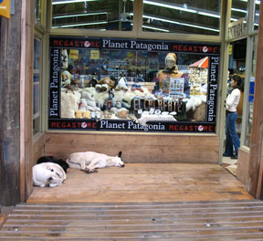 Cool Stuff comming Soon